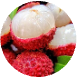 Litschi